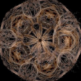 Ausschnitt eines Filmstills aus der Werkreihe Die Zeitkomplexität: blondes Haarornament vor schwarzem Hintergrund: Haarlocken sind zu Kreisen zusammengelegt und virtuell verfünffacht und gespiegelt, sodass in der Art einer Zirkelübung ein Blumenornament entsteht. 