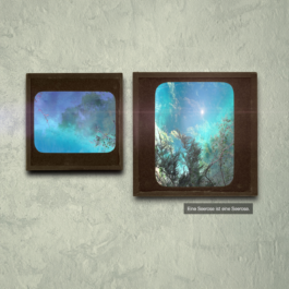 Stellvertretender Ausschnitt eines Filmstills aus der Videoinstallation Sterben Üben – Das Leben als 5-Akter: Auf einer verputzten grauweißen, strukturierten Wand hängen zwei rostige, quadratische Metallrahmen nebeneinander. Das rechte Quadrat ist etwas größer als das linke. Diese Quadrate fassen zwei leuchtende Bilder. Links im Querformat, rechts im Hochformat. Die Bilder lassen einen in eine andere Welt blicken, in eine Meereswelt. Türkisblau mit aufsteigenden verschlungenen Pflanzen. Ein hellweißer Lichtpunkt zieht den Blick hinein in das rechte Bild. Darunter steht: Eine Seerose ist eine Seerose. 
