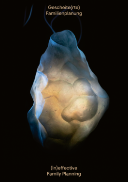 Cover Catalogue zeigt Handaxe/ Wabe / Faustkeil Lichtobjekt 